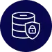 cybersecurity data protection icon